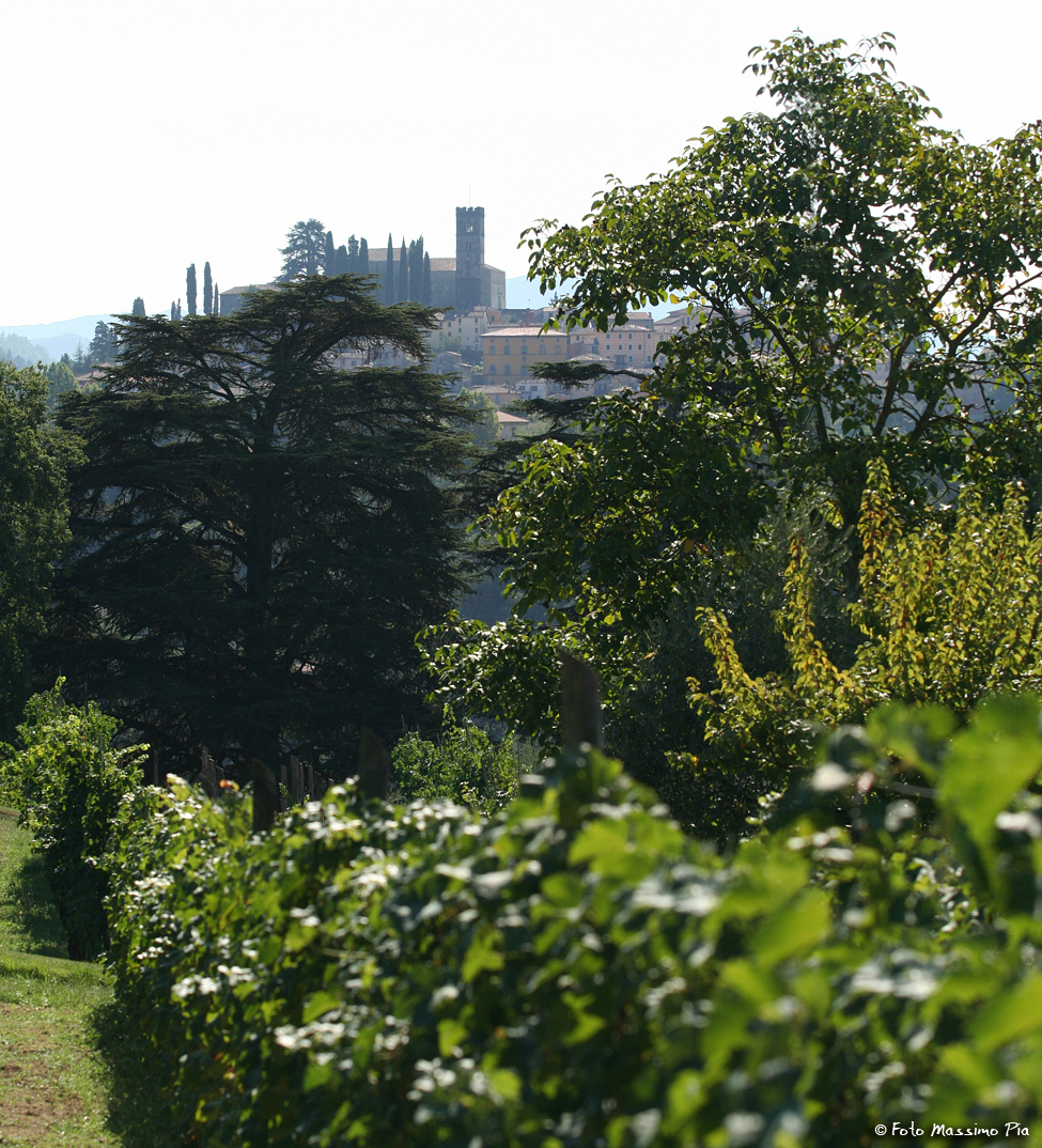 Duomo di Barga - Centro Storico - Vista da I Cedri 